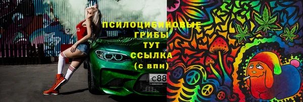 a pvp Абаза